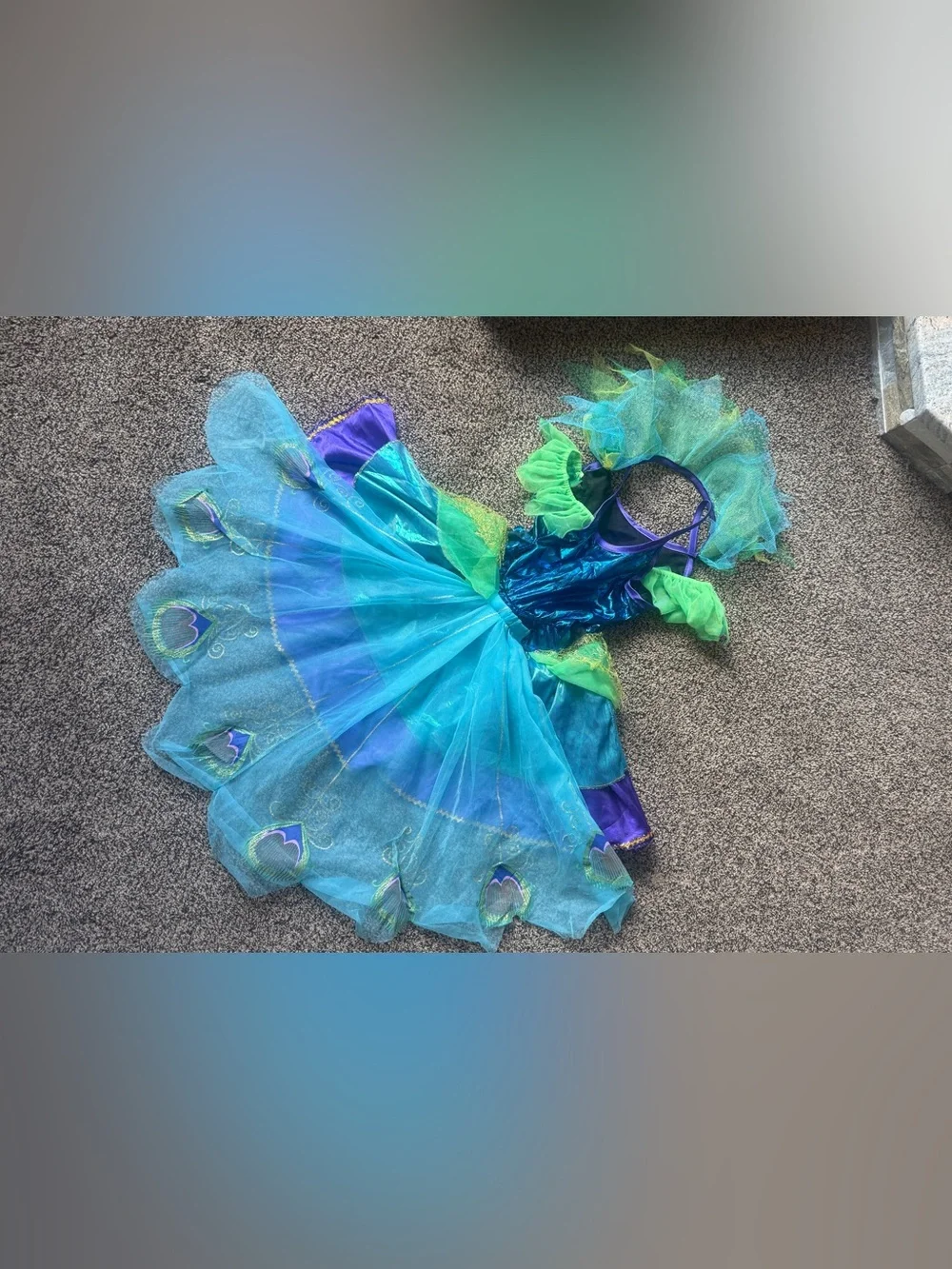 Source Unknown kids peacock